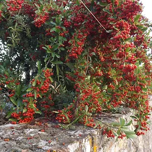  Affittacamere Solomia